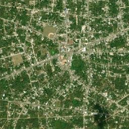 Leona Vicario map(satellite map)
