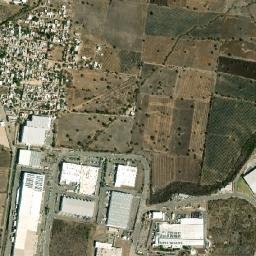 Monte del Coecillo map(satellite map)