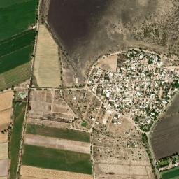 Silva map(satellite map)
