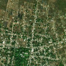 Texan de Palomeque map(satellite map)