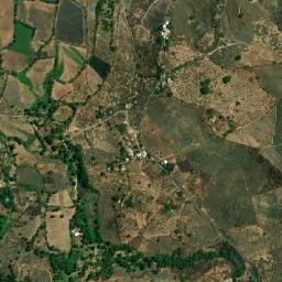 La Conchilla map(satellite map)