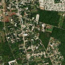 Leona Vicario map(satellite map)