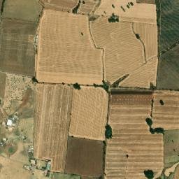 La Cebadilla map(satellite map)