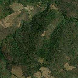 Tlahuiltepa map(satellite map)