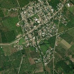 La Camelia map(satellite map)