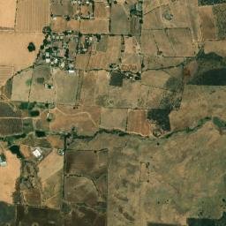 Cerrito de Tierra map(satellite map)
