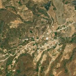 Copales map(satellite map)