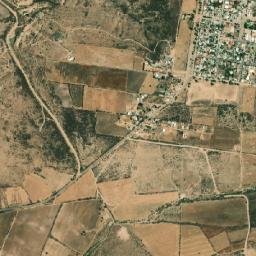 Zangarro (Zangarro Nuevo) map(satellite map)