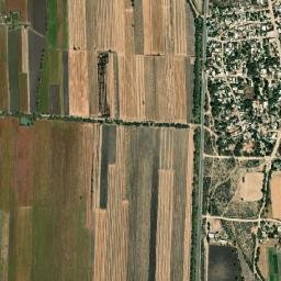 Mezquite Gordo map(satellite map)