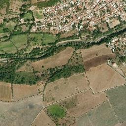 Amatlán de Cañas map(satellite map)