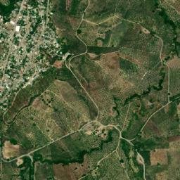 Mequetla map(satellite map)