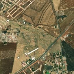 Buena Vista map(satellite map)
