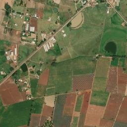 El Salero map(satellite map)