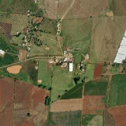 Higuerillas map(satellite map)