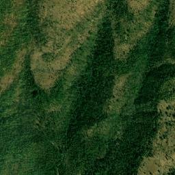 Dangs (India) map(satellite map)