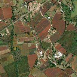 La Cieneguita map(satellite map)