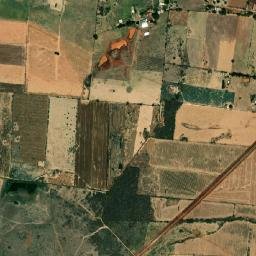 Chiquihuitillo map(satellite map)