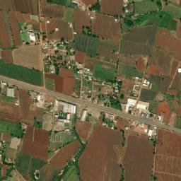 El Ocote map(satellite map)