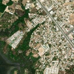 Mezcales map(satellite map)