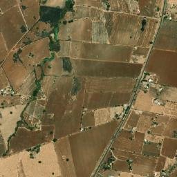 El Carricillo map(satellite map)