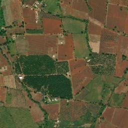 San Ignacio Municipality Jalisco map(satellite map)