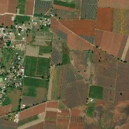La Loma del Nopal map(satellite map)