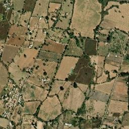 El Maestranzo map(satellite map)