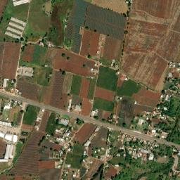 El Tule map(satellite map)