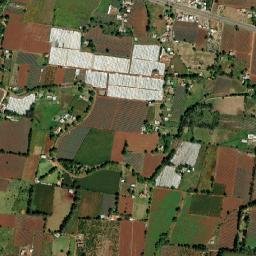 Bajío de Ratones map(satellite map)