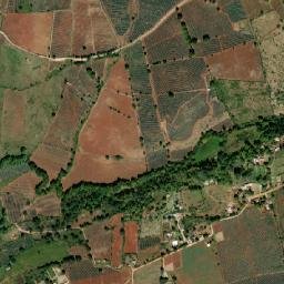 La Rosa de Castilla map(satellite map)