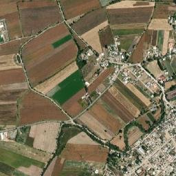 Carrizal Grande map(satellite map)