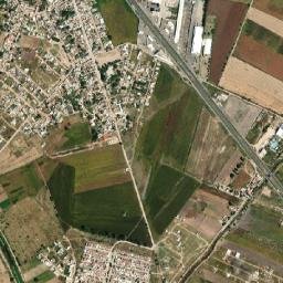 El Carrizalito map(satellite map)