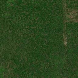 Tecoh map(satellite map)