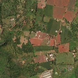 La Ciénega map(satellite map)
