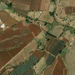 El Capulín de Chávez map(satellite map)