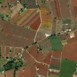 El Laurel map(satellite map)