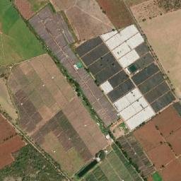 Ahualulco de Mercado Municipality map(satellite map)