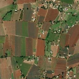 La Gloria map(satellite map)