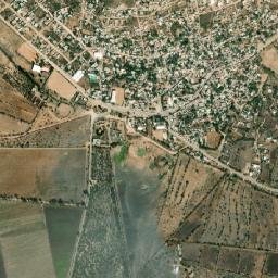 El Tejocote map(satellite map)