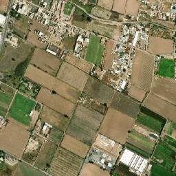 El Pino map(satellite map)
