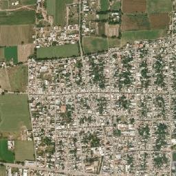 San Miguel Octopan map(satellite map)