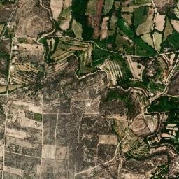 Tasquillo map(satellite map)