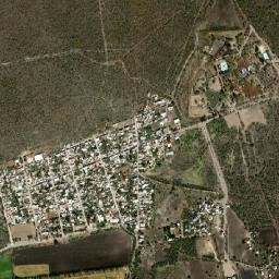 La Noria map(satellite map)