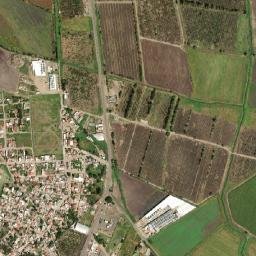 Milpillas map(satellite map)