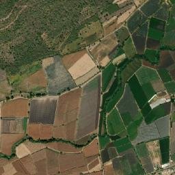 Ayotlán Municipality map(satellite map)
