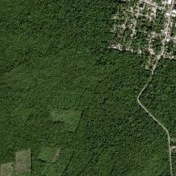 Coba map(satellite map)