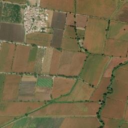 La Nopalera map(satellite map)