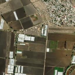 El Organal map(satellite map)