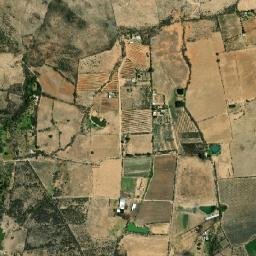Degollado map(satellite map)