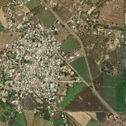 La Sauceda map(satellite map)